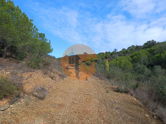 Image No.29-Plot for sale