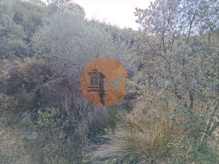 Image No.3-Terrain à vendre à Alcoutim