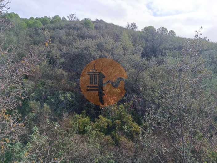 Image No.31-Plot for sale