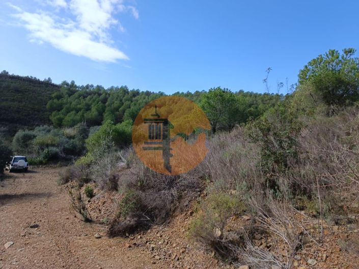 Image No.32-Plot for sale