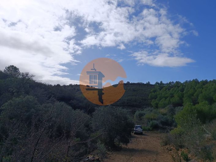 Image No.33-Terrain à vendre à Alcoutim