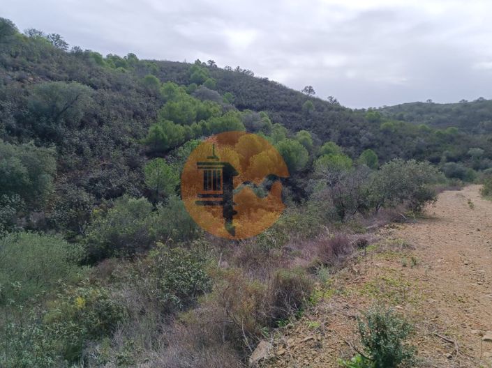 Image No.4-Plot for sale