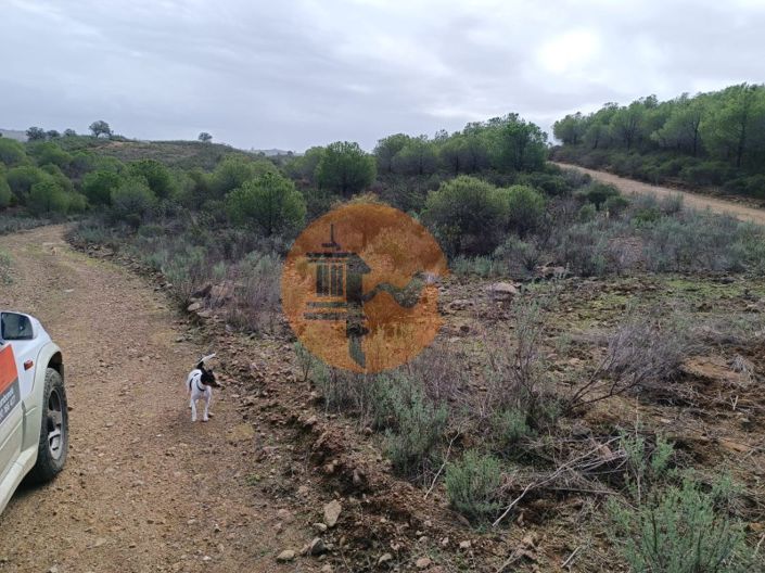 Image No.5-Terrain à vendre à Alcoutim