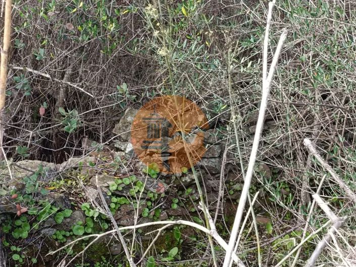 Image No.8-Terrain à vendre à Alcoutim