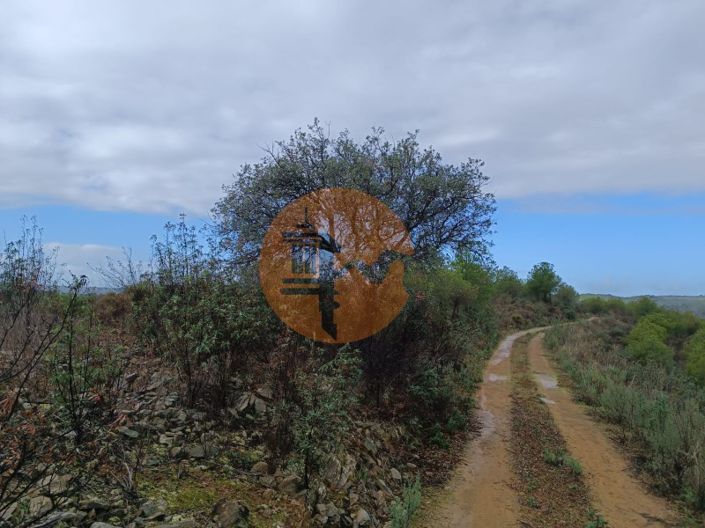 Image No.10-Terrain à vendre à Alcoutim