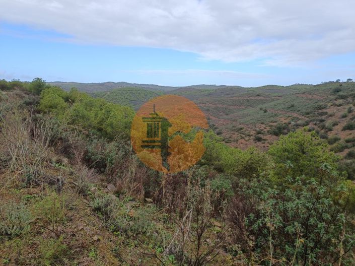 Image No.12-Plot for sale