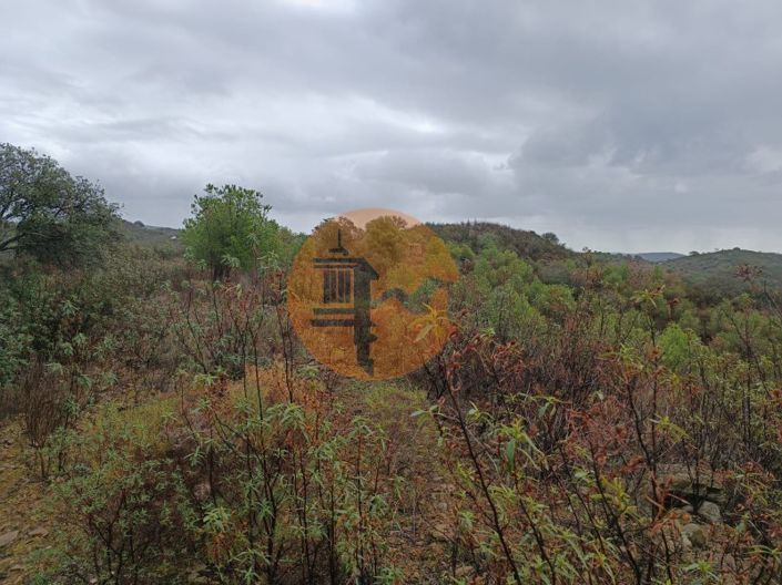 Image No.13-Plot for sale