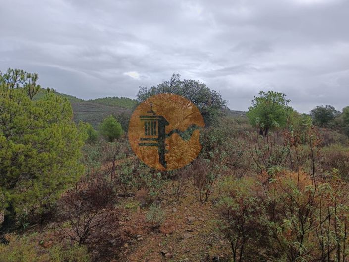 Image No.15-Plot for sale