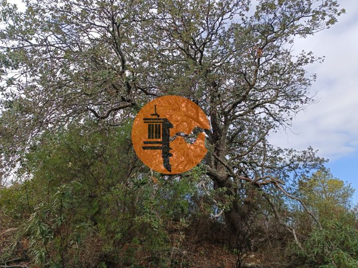 Image No.16-Plot for sale