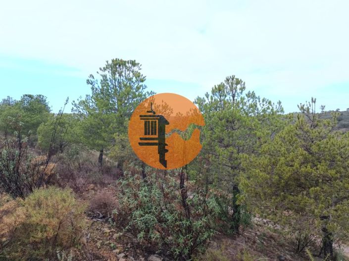 Image No.17-Terrain à vendre à Alcoutim