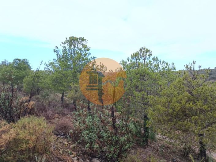 Image No.17-Plot for sale