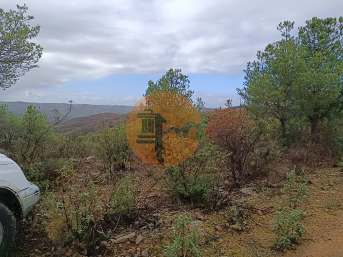 Image No.3-Plot for sale