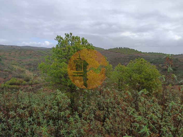 Image No.4-Plot for sale