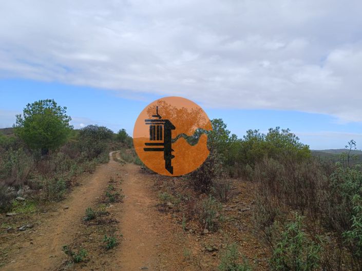 Image No.5-Plot for sale