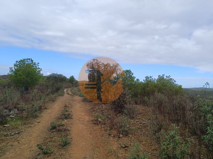 Image No.5-Plot for sale