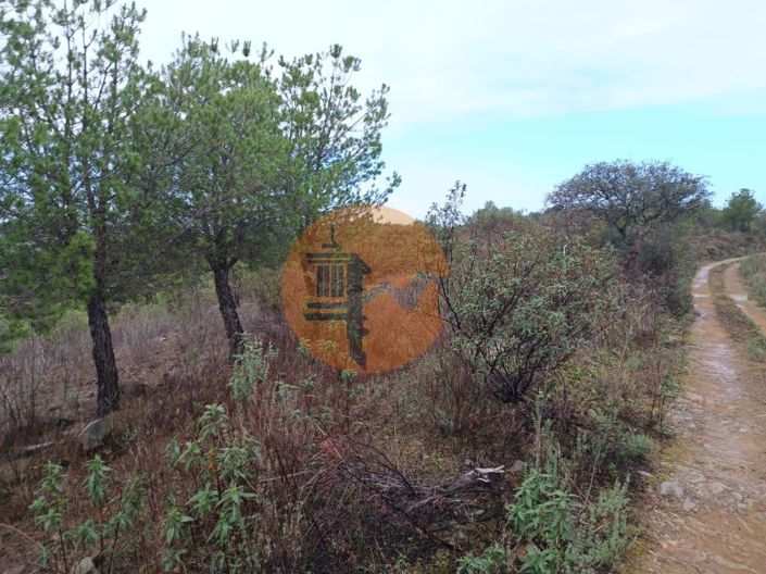 Image No.7-Plot for sale