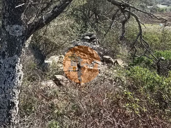 Image No.13-Plot for sale