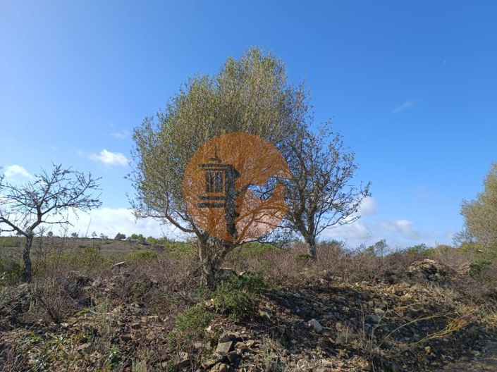 Image No.9-Plot for sale