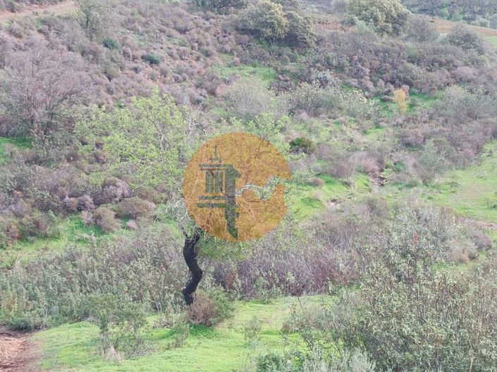 Image No.10-Plot for sale