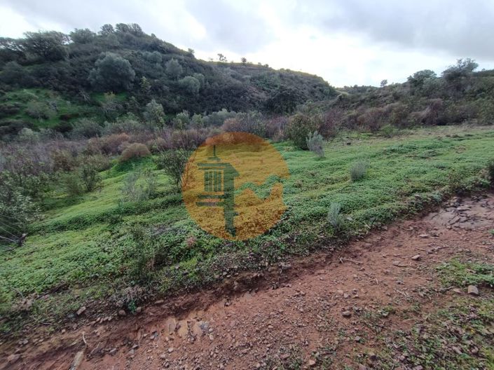 Image No.11-Plot for sale