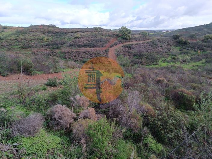 Image No.13-Plot for sale