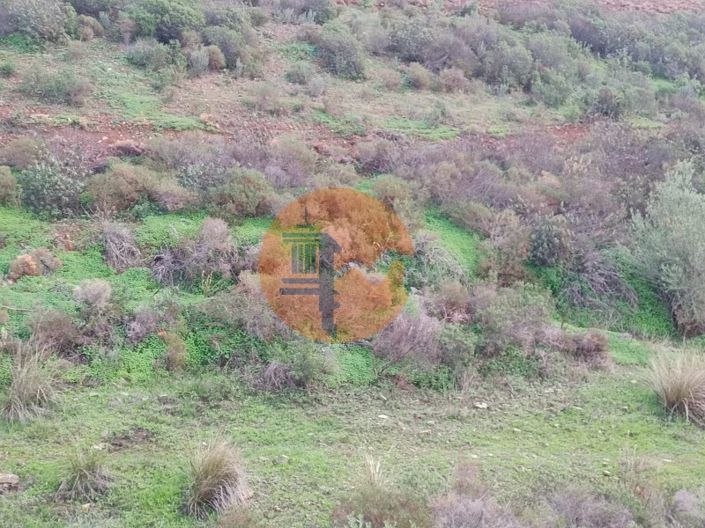 Image No.24-Plot for sale