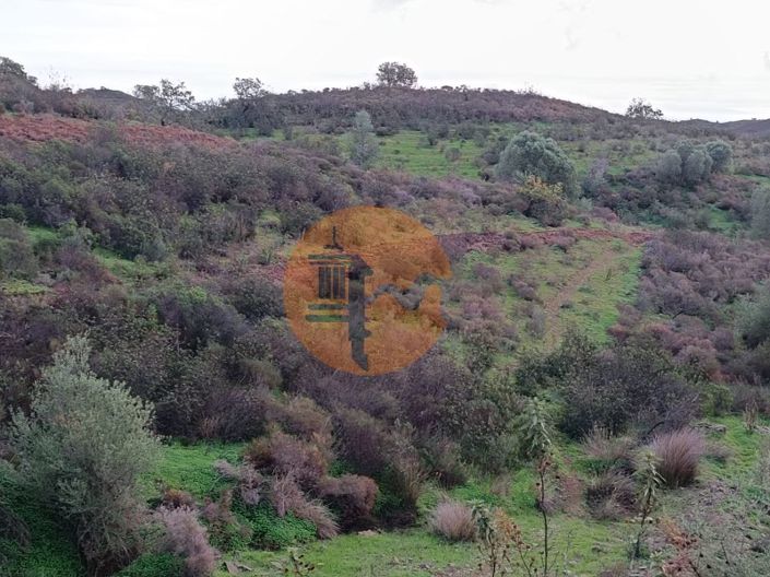 Image No.31-Plot for sale