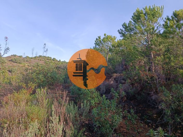 Image No.10-Plot for sale