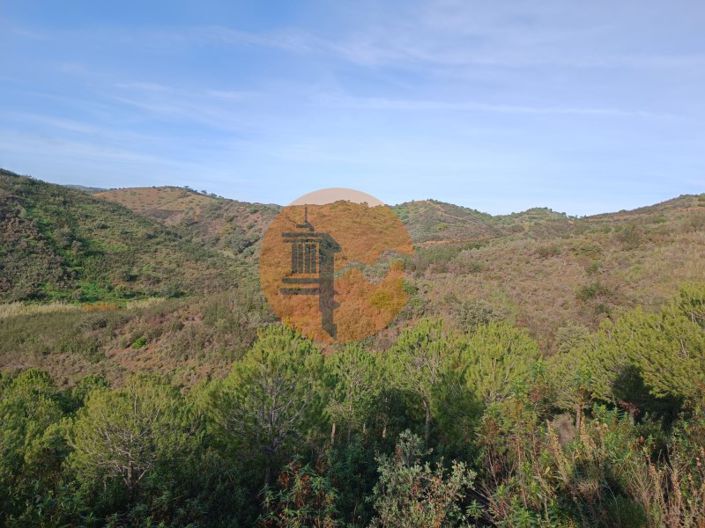 Image No.14-Plot for sale