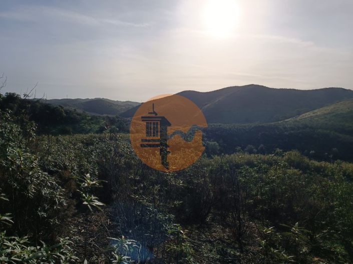 Image No.15-Plot for sale