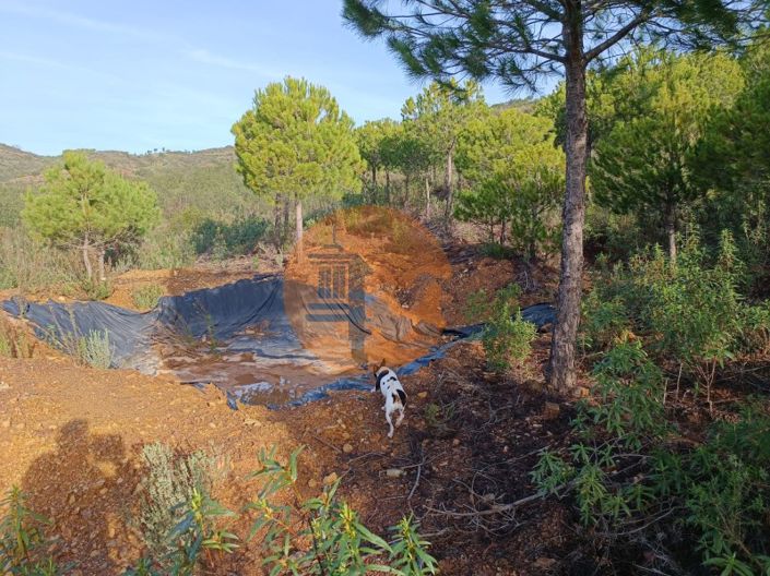 Image No.17-Plot for sale