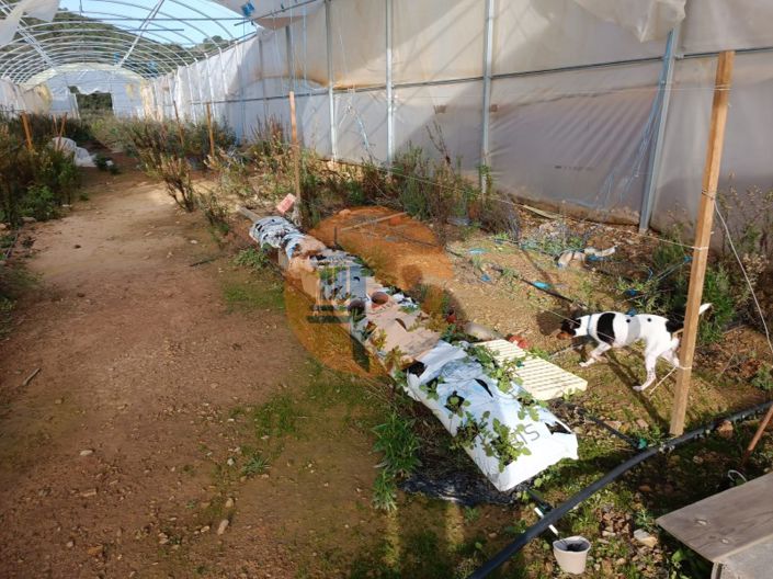 Image No.24-Plot for sale