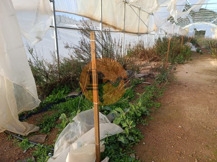 Image No.25-Plot for sale