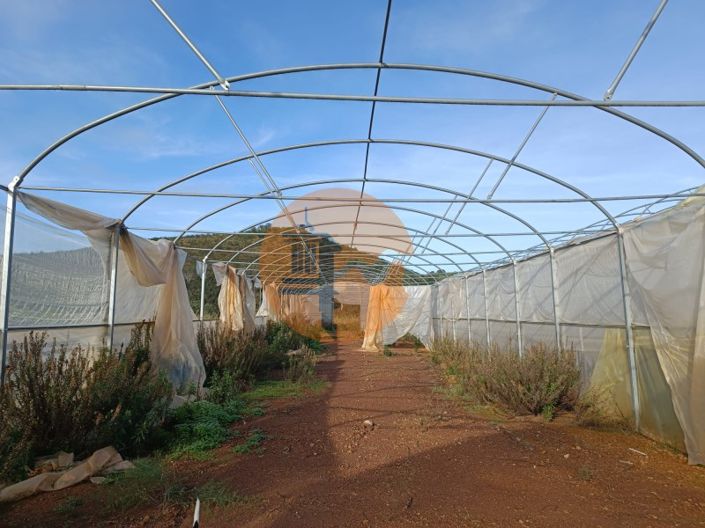 Image No.27-Plot for sale