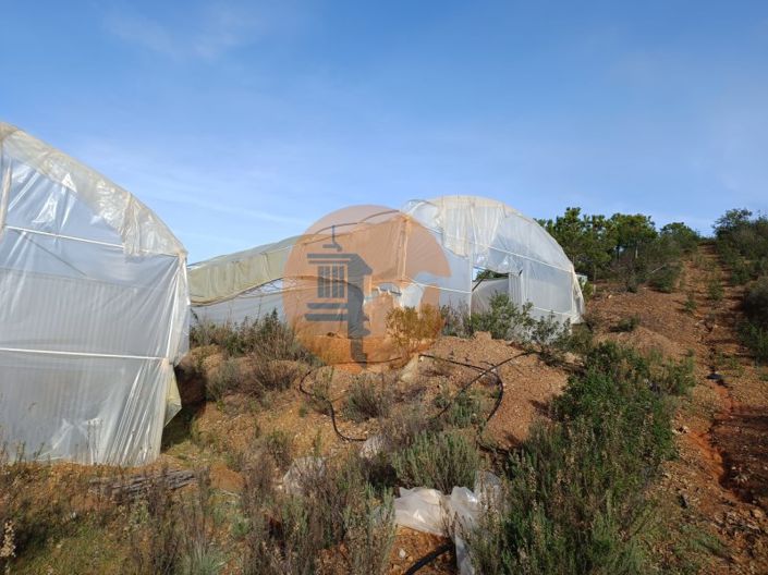 Image No.28-Plot for sale