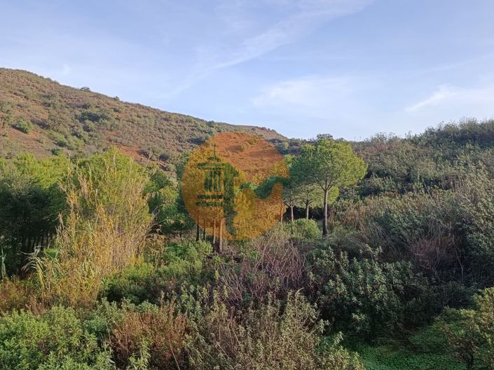 Image No.37-Plot for sale