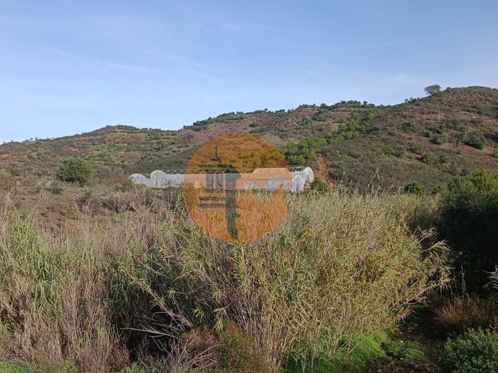 Image No.39-Plot for sale