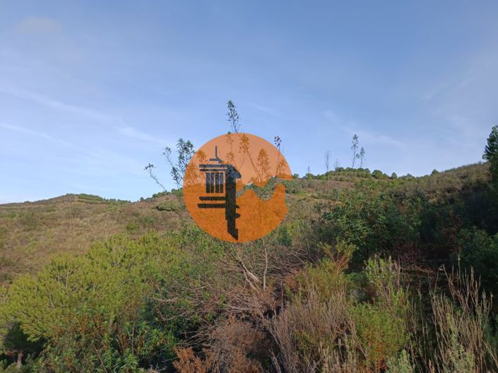 Image No.7-Plot for sale