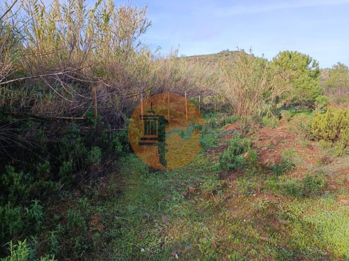 Image No.8-Plot for sale