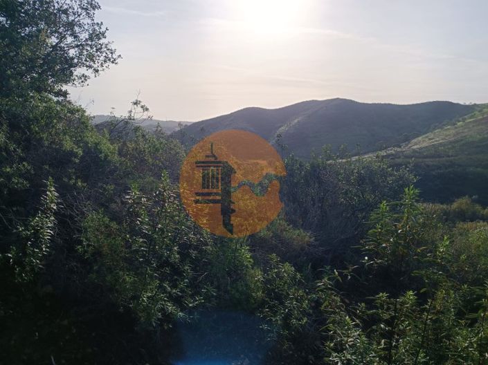 Image No.9-Plot for sale