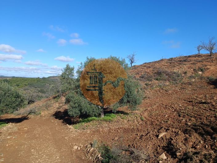 Image No.1-Plot for sale