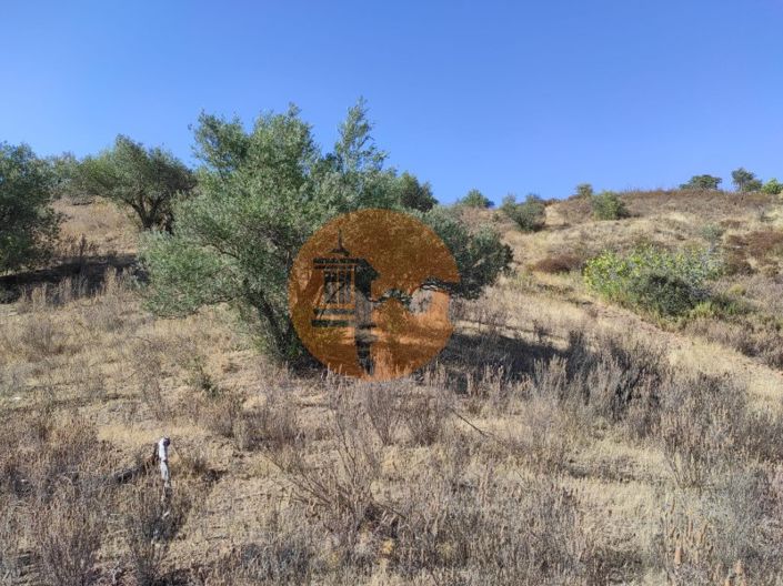 Image No.14-Plot for sale