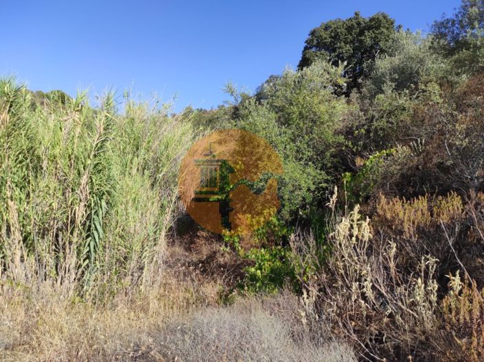 Image No.17-Plot for sale