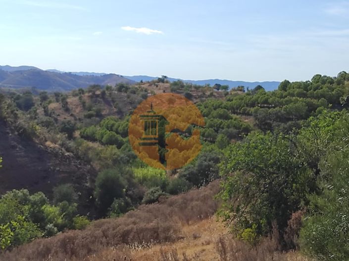 Image No.21-Plot for sale