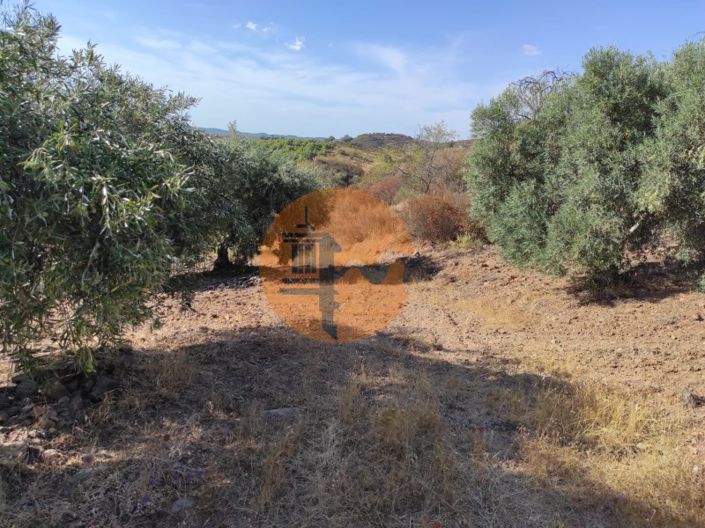 Image No.27-Plot for sale