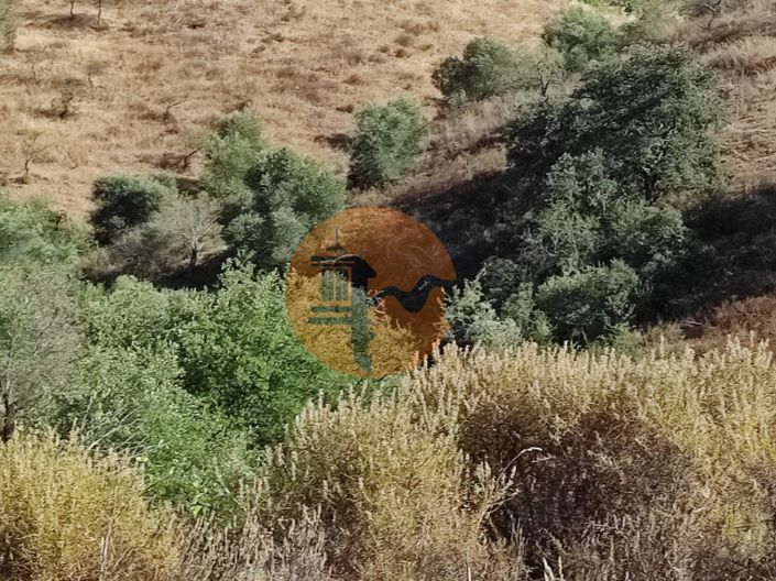 Image No.28-Plot for sale