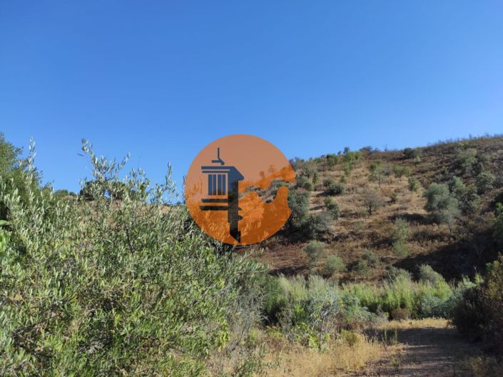 Image No.33-Plot for sale