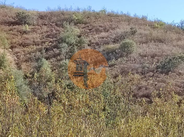 Image No.38-Plot for sale