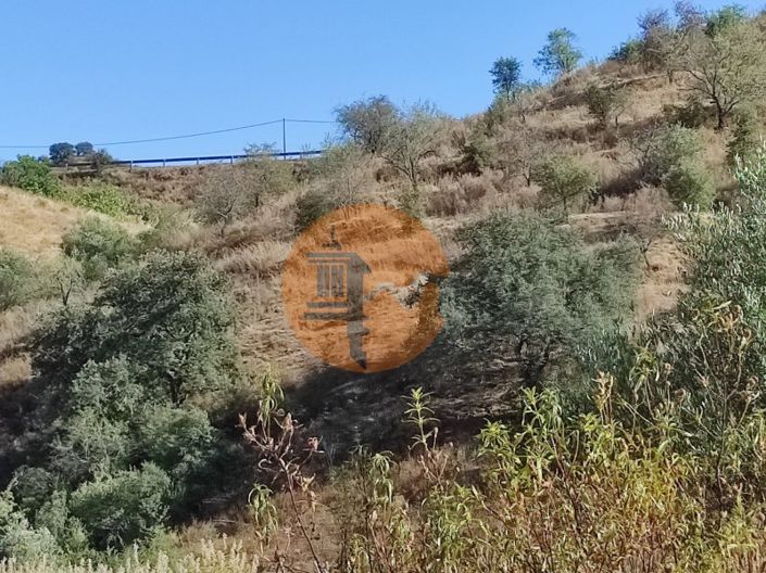 Image No.39-Plot for sale