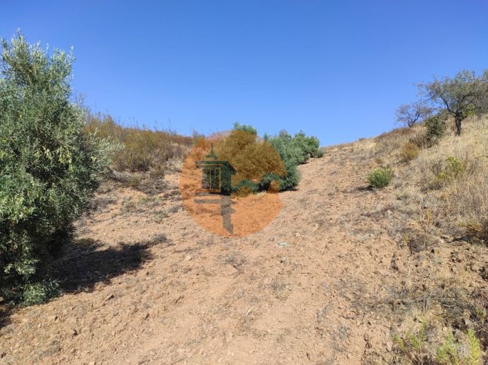 Image No.42-Plot for sale